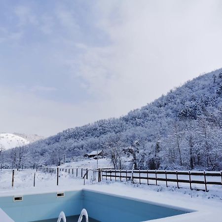 Pensiunea La Nenea Iancu Pianu de Sus 외부 사진