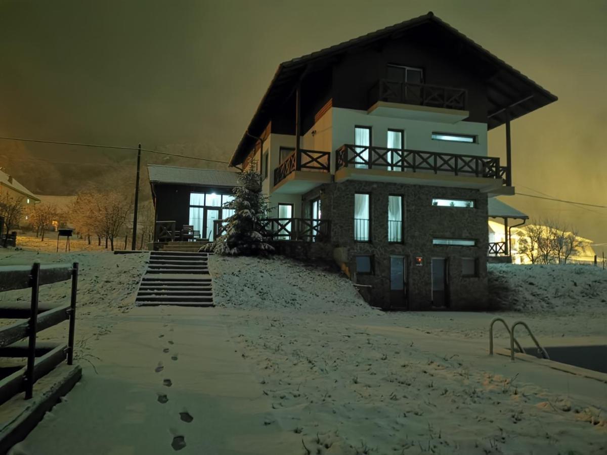 Pensiunea La Nenea Iancu Pianu de Sus 외부 사진