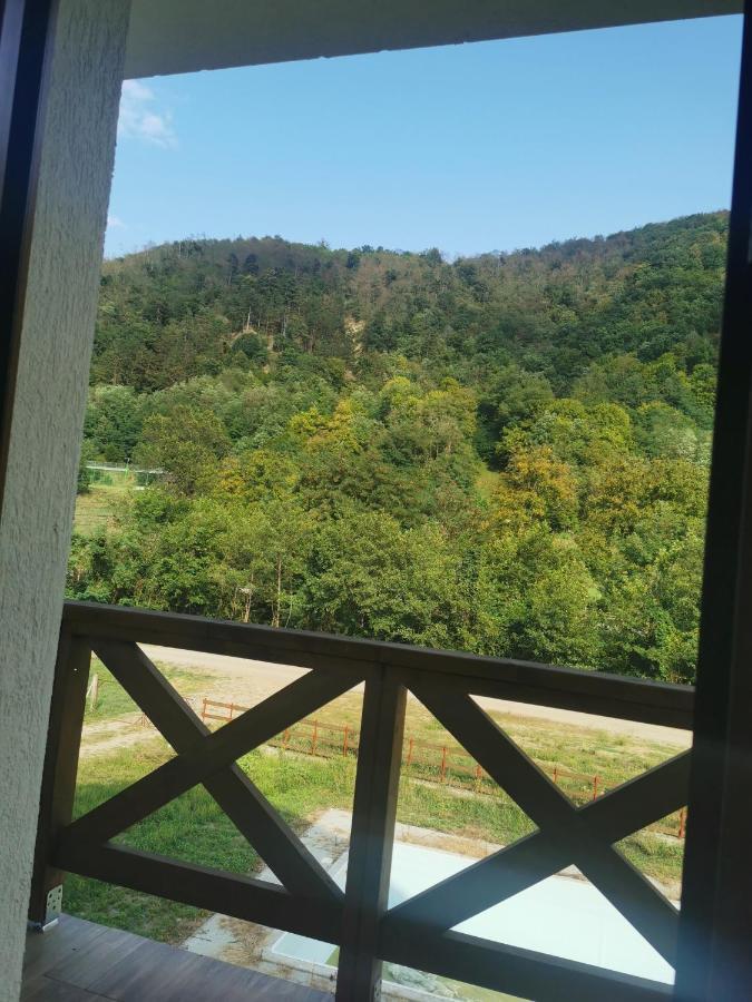 Pensiunea La Nenea Iancu Pianu de Sus 외부 사진